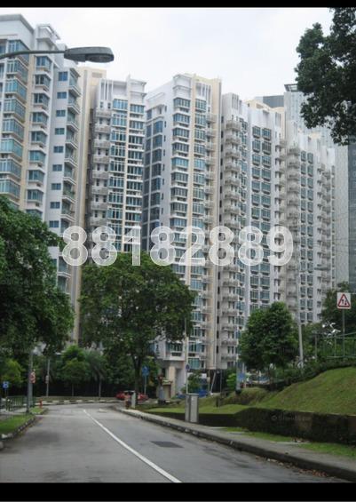 Cairnhill Crest (D9), Condominium #167600472